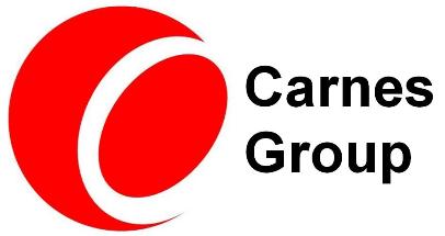 CARNES GROUP LLC